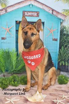 Easter and Spring Family/Pet Portrait Days, Eastern Ontario - Photo 2