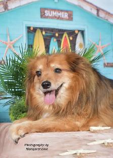 Easter and Spring Family/Pet Portrait Days, Eastern Ontario - Photo 4