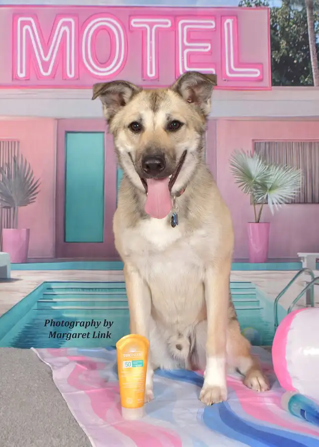 Easter and Spring Family/Pet Portrait Days, Eastern Ontario - Photo 7