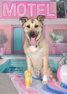 Easter and Spring Family/Pet Portrait Days, Eastern Ontario - Photo 7