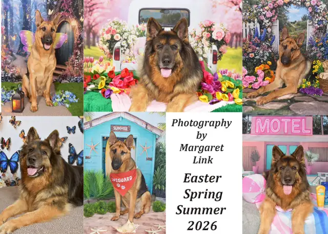 Easter and Spring Family/Pet Portrait Days, Eastern Ontario - Photo 8