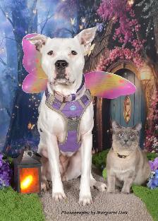 Easter and Spring Family/Pet Portrait Days, Eastern Ontario - Photo 9