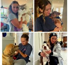 Professional Cleaning Services