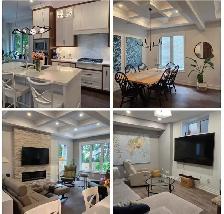 Professional Cleaning Services - Photo 4