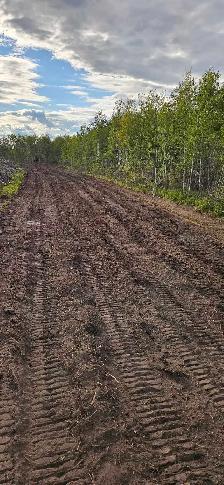 Mulching/Land Clearing/Subsoiling - Photo 5