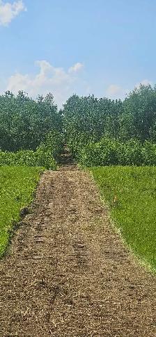Mulching/Land Clearing/Subsoiling - Photo 6