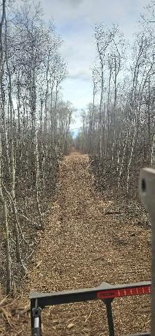 Mulching/Land Clearing/Subsoiling - Photo 7