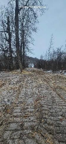 Mulching/Land Clearing/Subsoiling - Photo 8