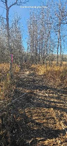 Mulching/Land Clearing/Subsoiling - Photo 9