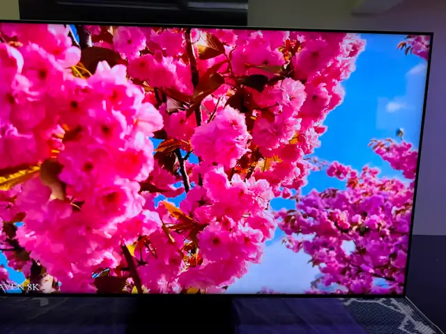 Sony bravia 65 inches 4K smart like new