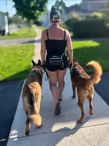 Dog Training - Photo 2