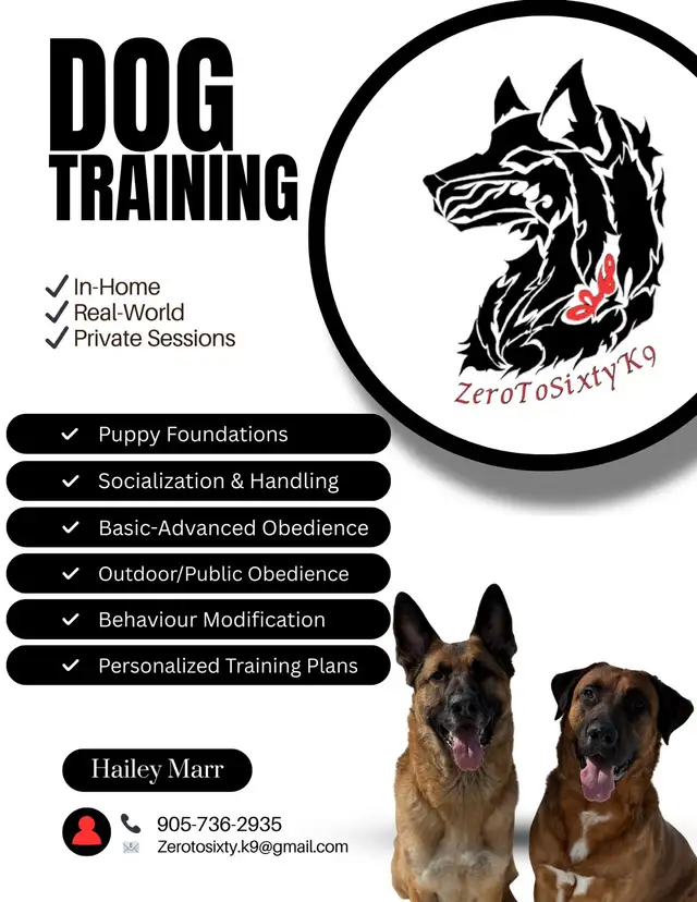 K9 Services