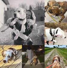 K9 Services - Photo 2