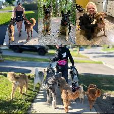 K9 Services - Photo 3