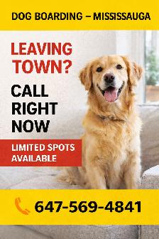 DOG BOARDING – MISSISSAUGA