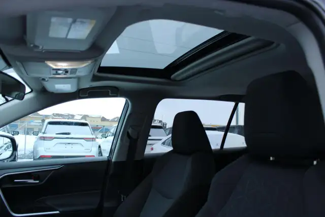 2025 Toyota RAV4 XLE - Photo 8