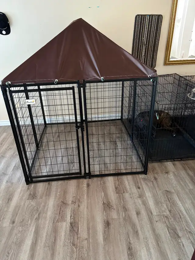 Dog crate for sale
