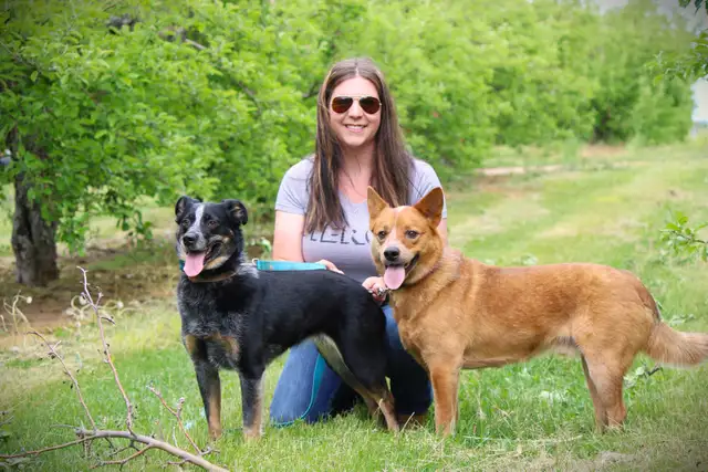 Looking for Rental - Photo 4