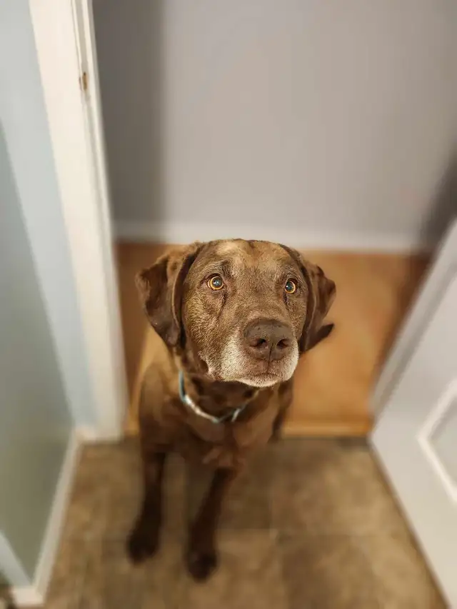 Retirement Home - Photo 2