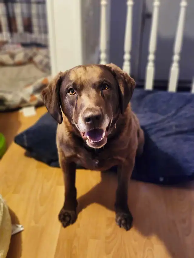 Retirement Home - Photo 3