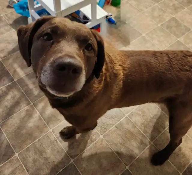 Retirement Home - Photo 4