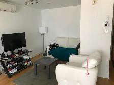 3 1/2 meublé, chauffé, éclairé, bail 3 mois 1/2 (Enquête crédit) - Photo 3