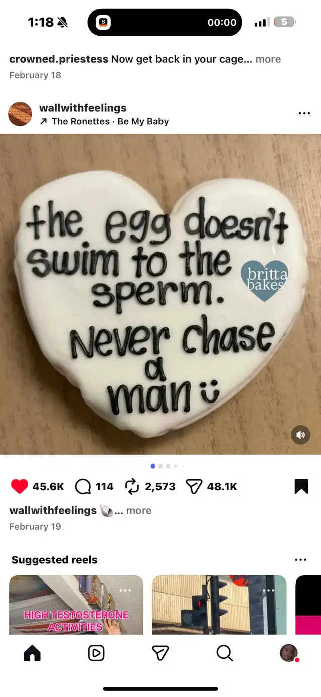 money donations needed please help