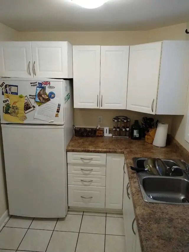 1 Bedroom apartment near Downtown Ottawa - Photo 4