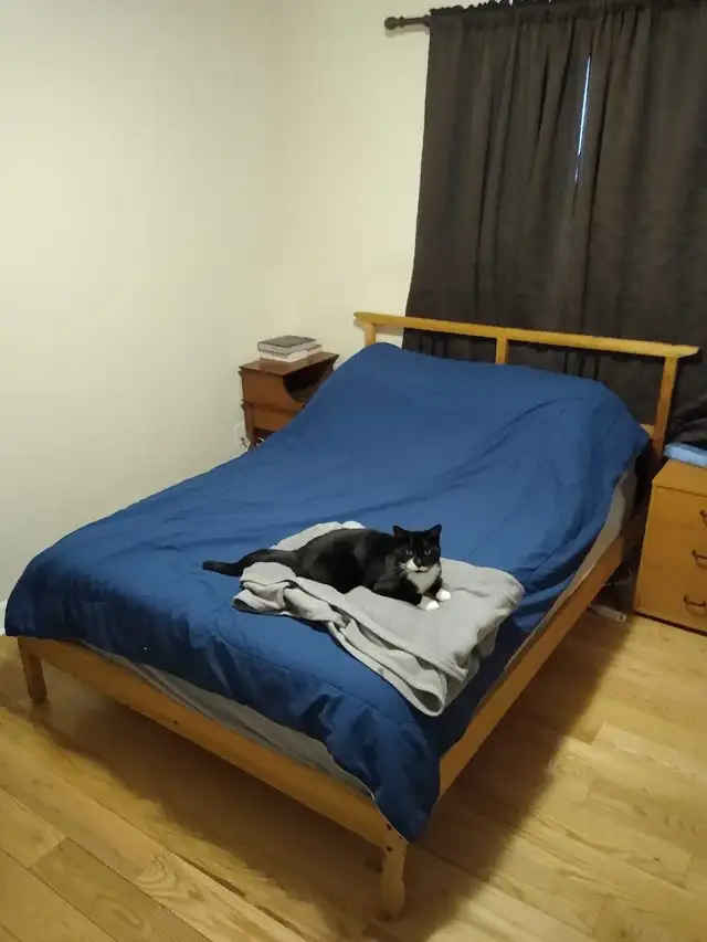 1 Bedroom apartment near Downtown Ottawa - Photo 10