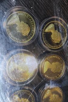 1320-5AveNW Hillhurst Market Sunday Only Silver Gold Hotwheels - Photo 2