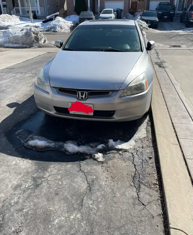 Honda Accord (safety included) - Photo 7