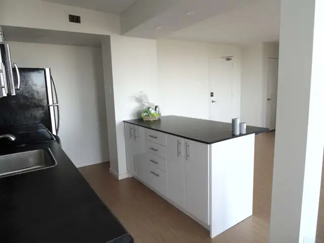 SYDNEY/FULLY RENOVATED/STUDIO APARTMENT/ $1255-APRIL 15TH - Photo 3