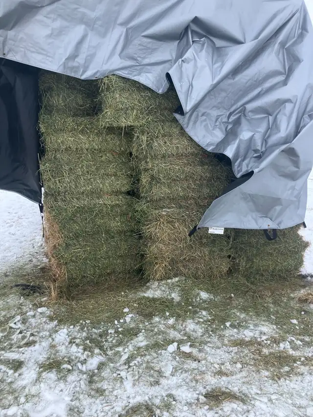 Hay for sale - Photo 5