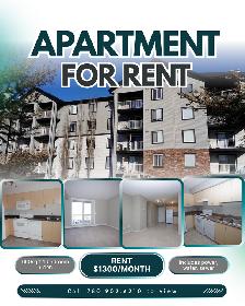 Apartment for rent