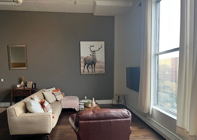 Furnished Penthouse Loft – Downtown Edmonton - Photo 9