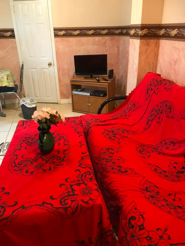 Gorgeous furnished one bedroom basement apartment in Brampton - Photo 2