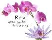 Reiki 1-2-Master Teacher, Past Life, Akashic Records - Classes - Photo 2