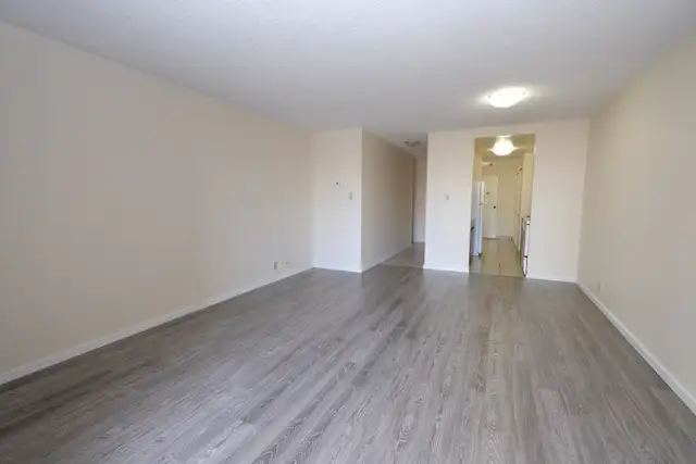 Two Bedroom Apartments for Rent Next to Seawall - Photo 2