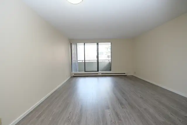 Two Bedroom Apartments for Rent Next to Seawall - Photo 3