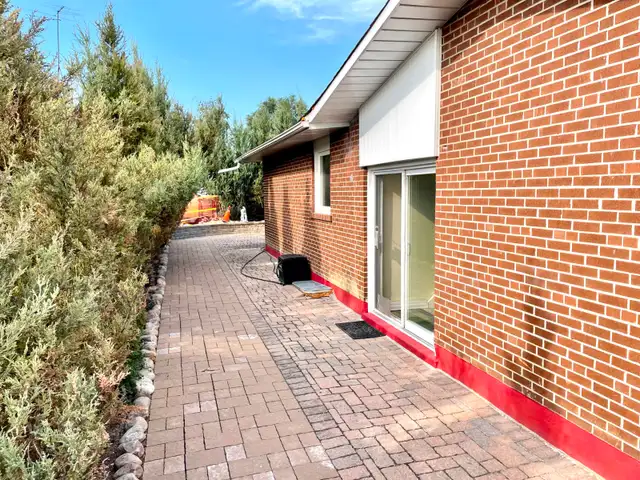 1 BR Basement Apartment In Etobicoke for Rent