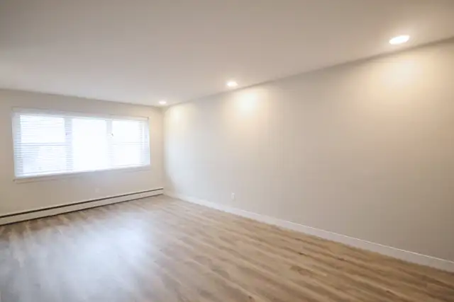 Newly reno'd, bright 1-bedroom suite downtown! - Photo 2
