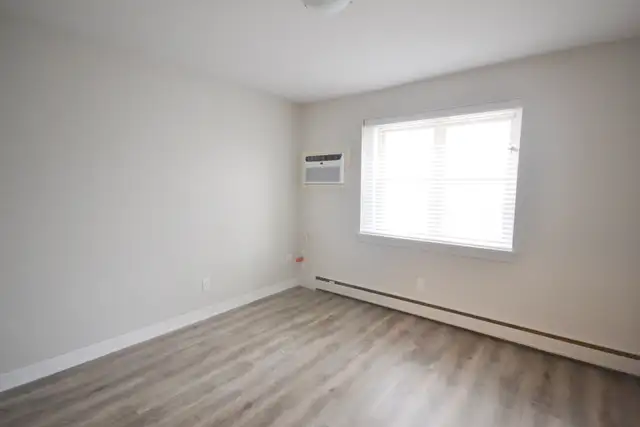 Newly reno'd, bright 1-bedroom suite downtown! - Photo 3