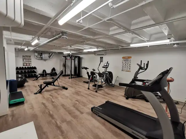 Newly reno'd, bright 1-bedroom suite downtown! - Photo 5