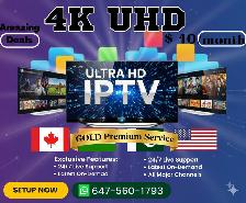 IP&TV SUBSCRIPTION, FAST IP&TV SERVER