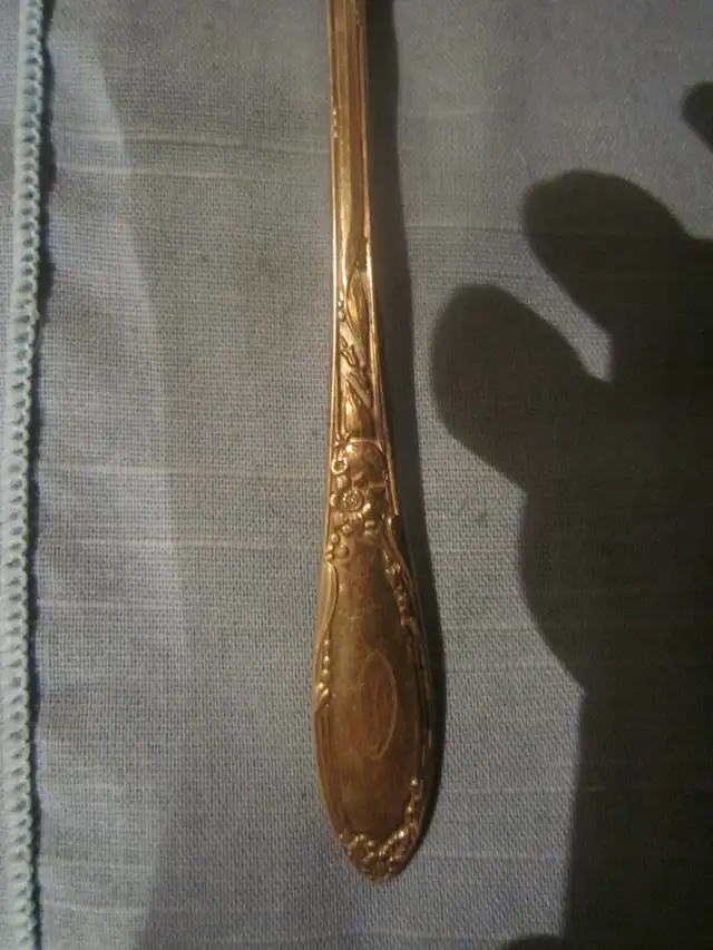 #106-208B VISTA silverware set for 12