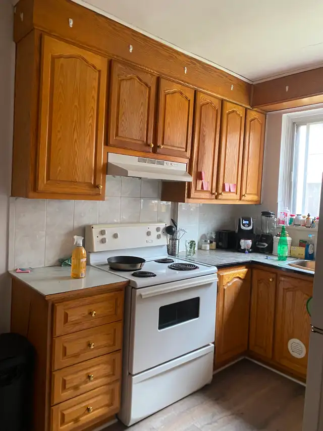 Grand 3 1/2 Metro Cote Saint-Catherine - Photo 3