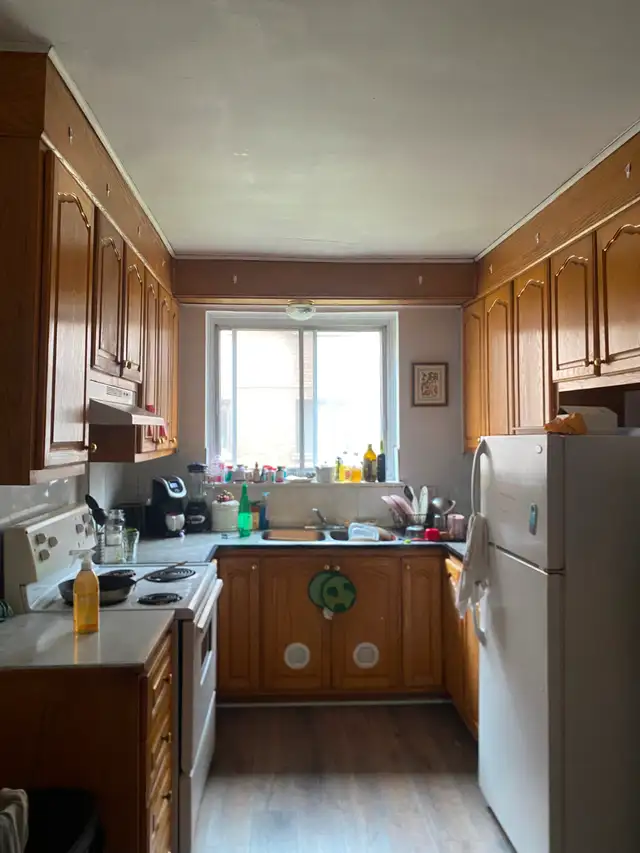 Grand 3 1/2 Metro Cote Saint-Catherine - Photo 4