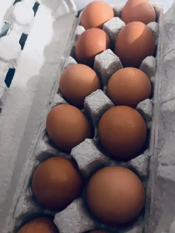 Fresh Farm Eggs