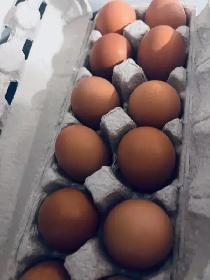 Fresh Farm Eggs