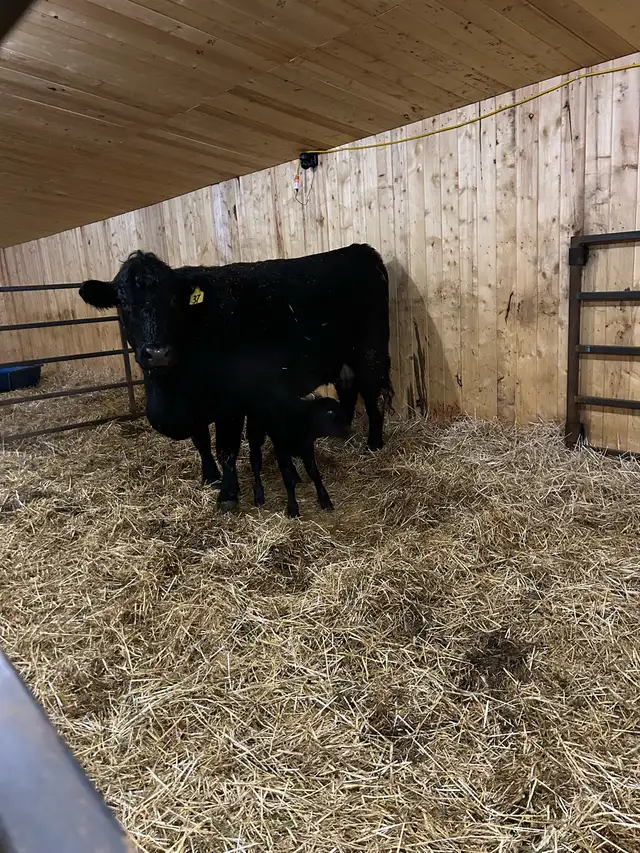 Looking for Farm Help - Photo 2